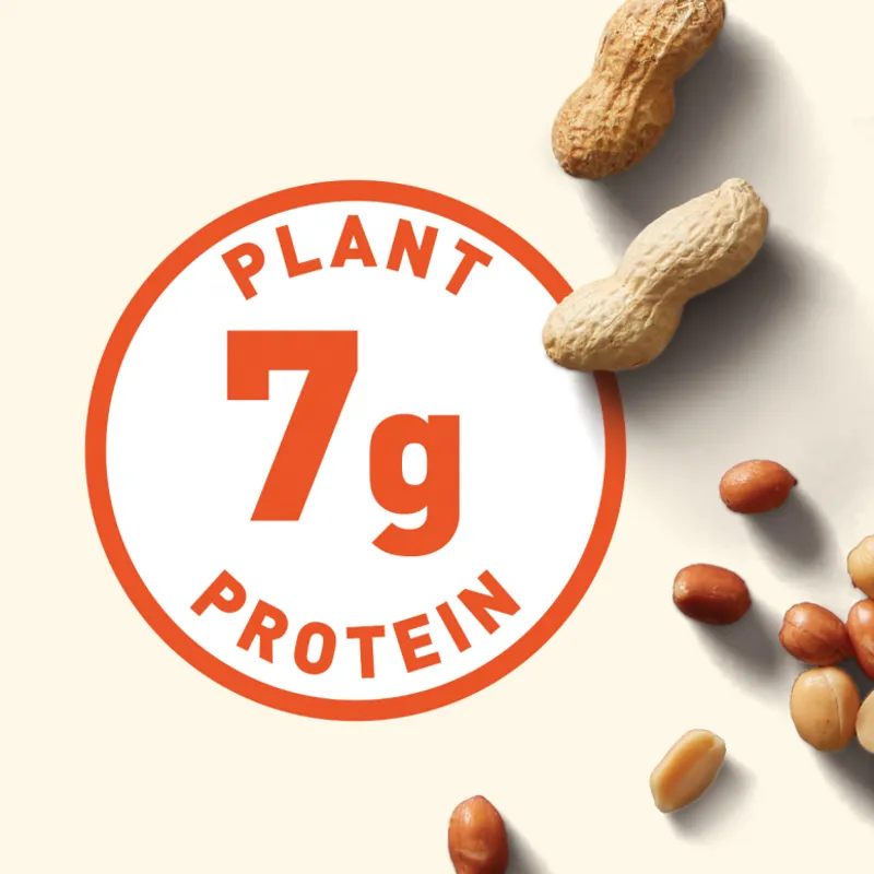 Clif Nut Butter Bar - Chocolate Chip and Peanut Butter-1