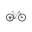 Specialized Rockhopper Comp Mountain Bike in Pistachio/White