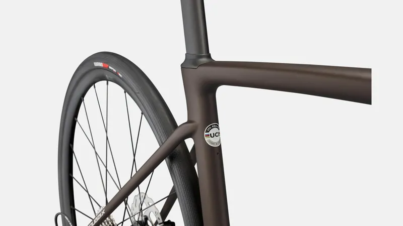 Specialized Roubaix Sport Road Bike in Brown-1