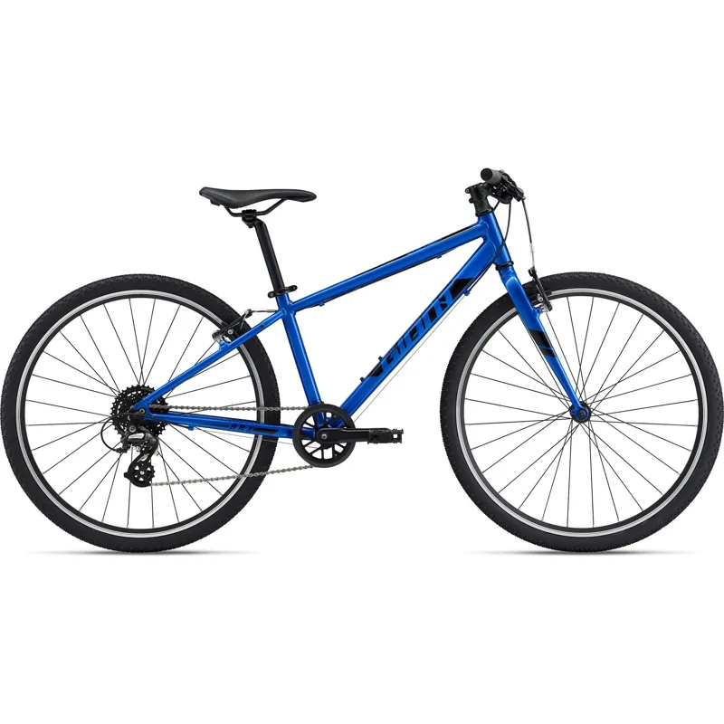 Giant mountain store bikes kids
