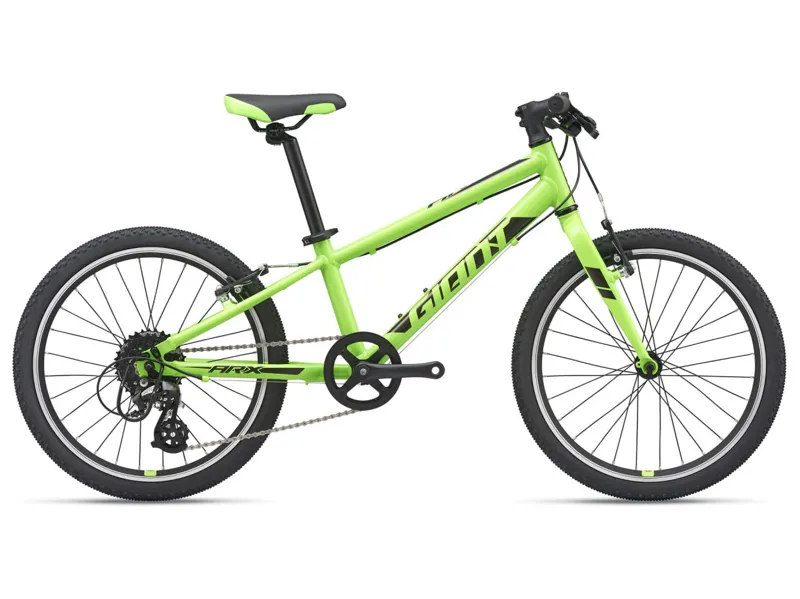 2021 Giant ARX 20 Kids Bike in Green