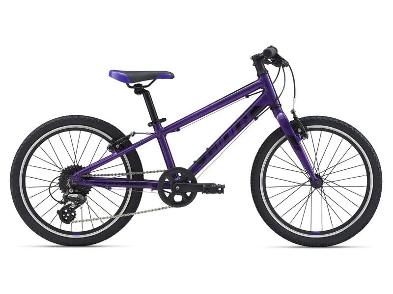 2021 Giant ARX 20 Kids Bike in Purple