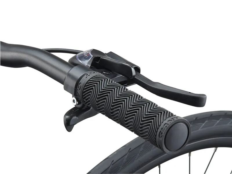 2021 Giant Escape 3 Disc Hybrid Bike in Metallic Black-2