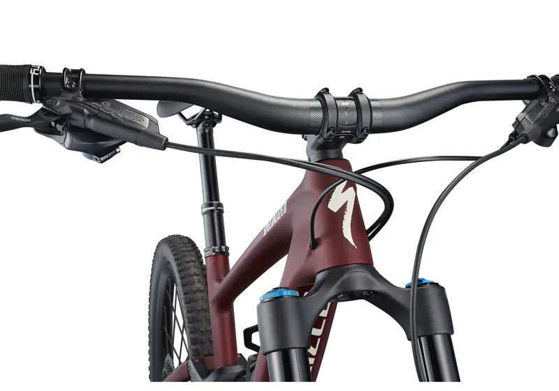 2021 Specialized Enduro Expert Carbon Mountain Bike in Red-2