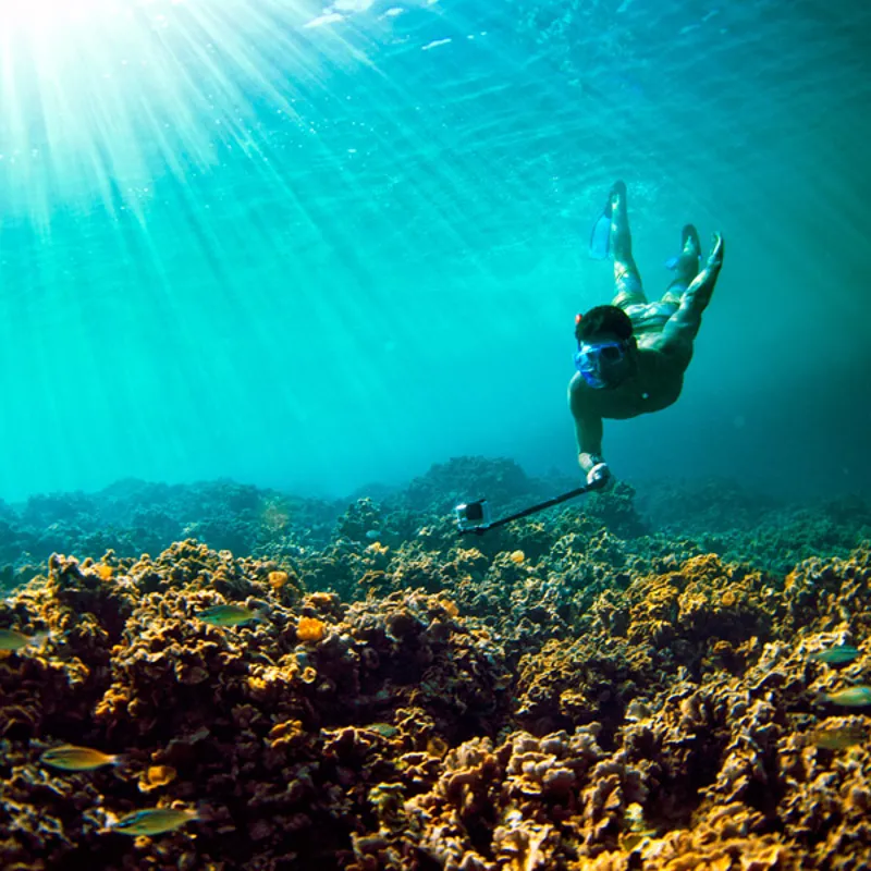 SP 37 Inch POV Pole In Black-2