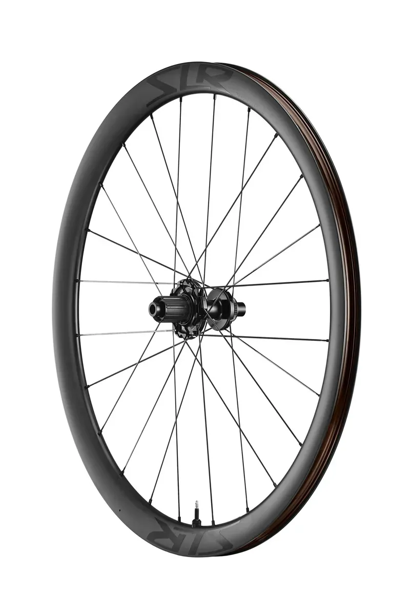 Giant SLR 1 40 Tubeless Disc Brake Front Wheel in Black-2