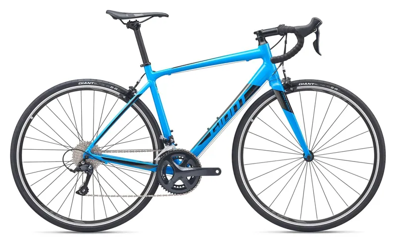 2019 Giant Contend 1 Mens Road bike in Blue