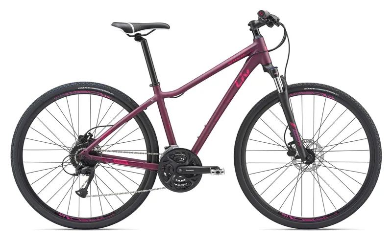 2019 Liv Rove 2 Disc Womens All Terrain bike in Red