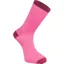 Madison RoadRace Premio Extra Long Socks in Pink