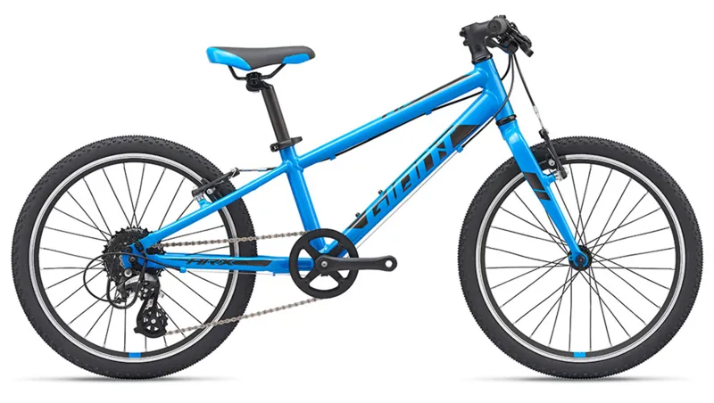 2019 Giant ARX 20 Kids Bike in Blue