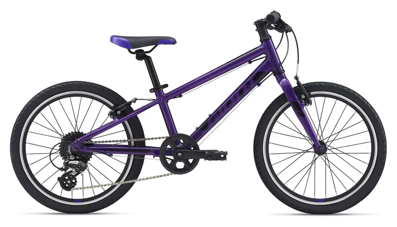 2020 Giant ARX 20 Childs Bike in Purple