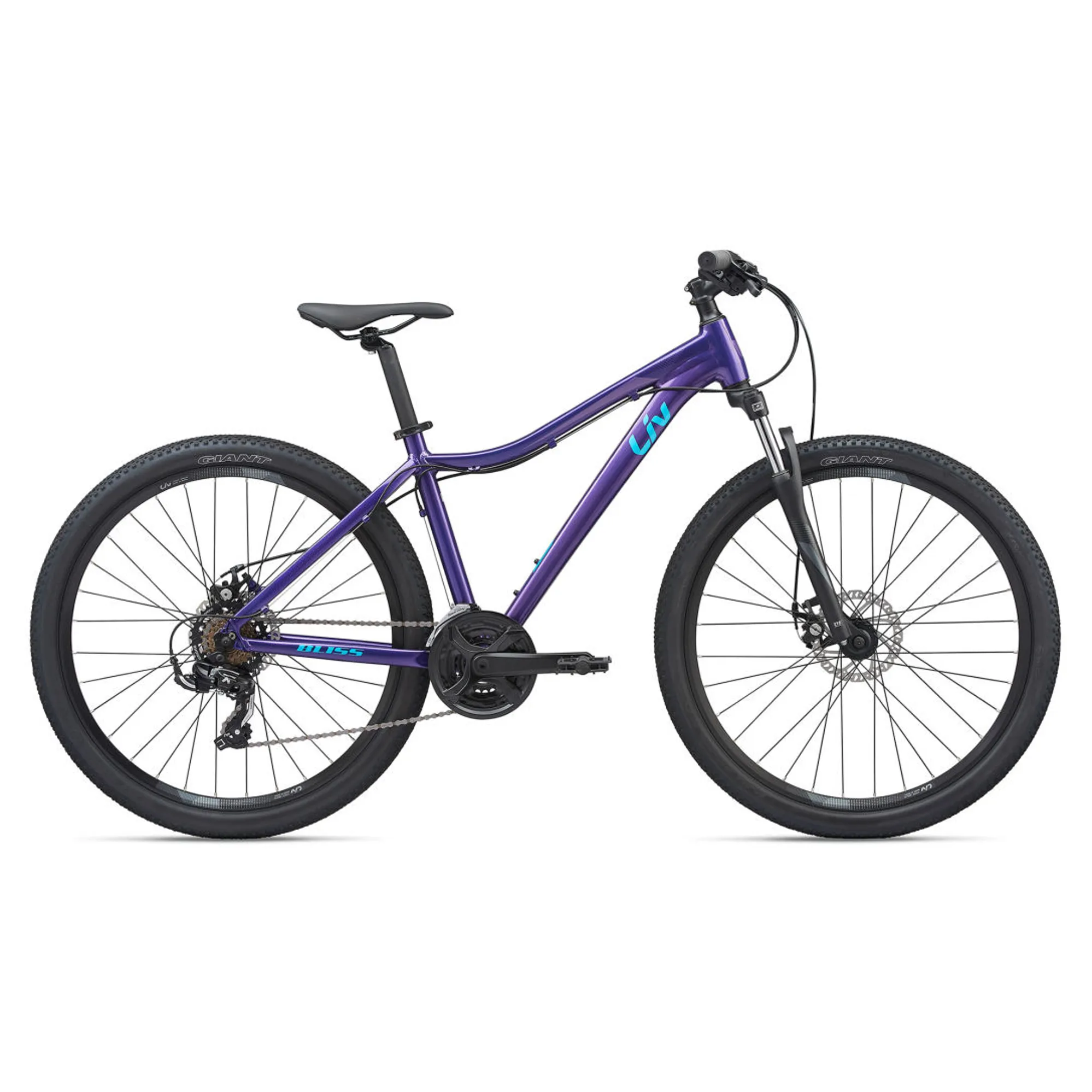 2020 Liv Bliss Disc Hardtail Mountain Bike in Purple