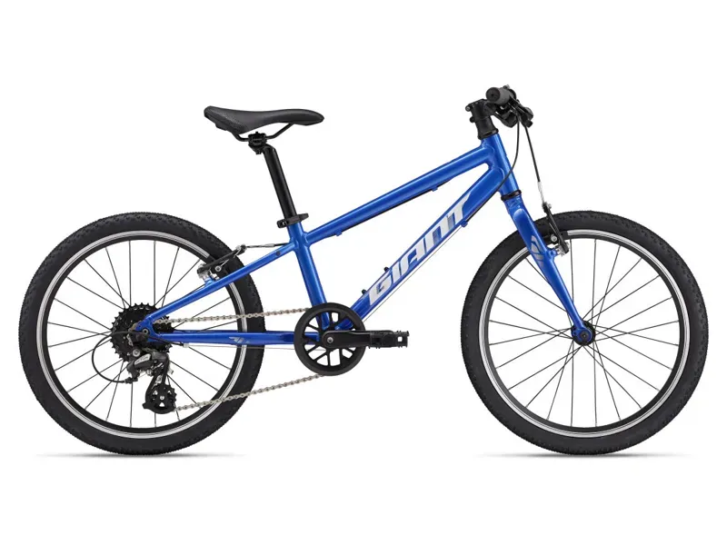 Giant ARX 20 Kids Bike In Cobalt