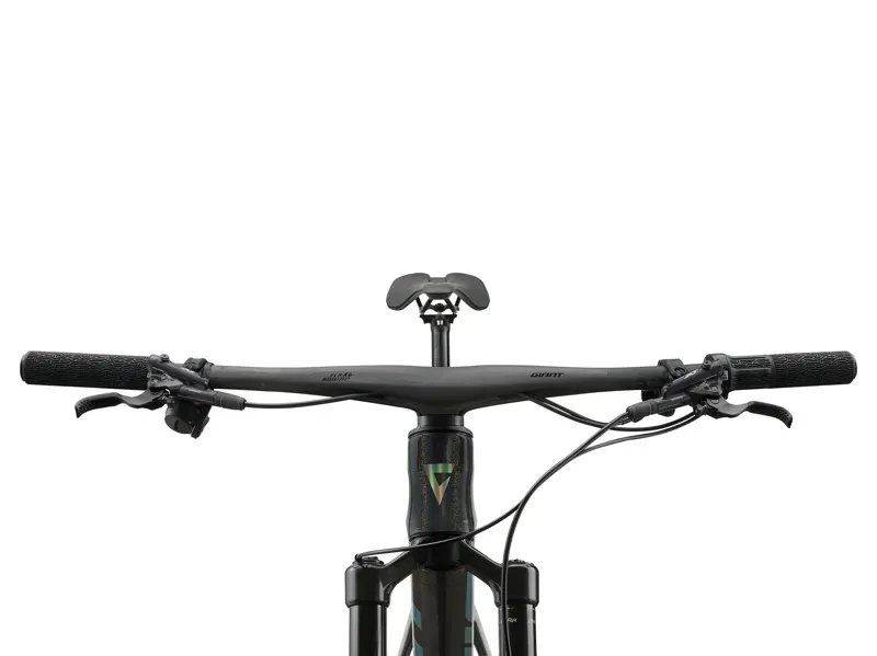 Giant Anthem Advanced SL 1 Mountain Bike in Rainbow Black-9