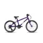 Frog 55 Purple