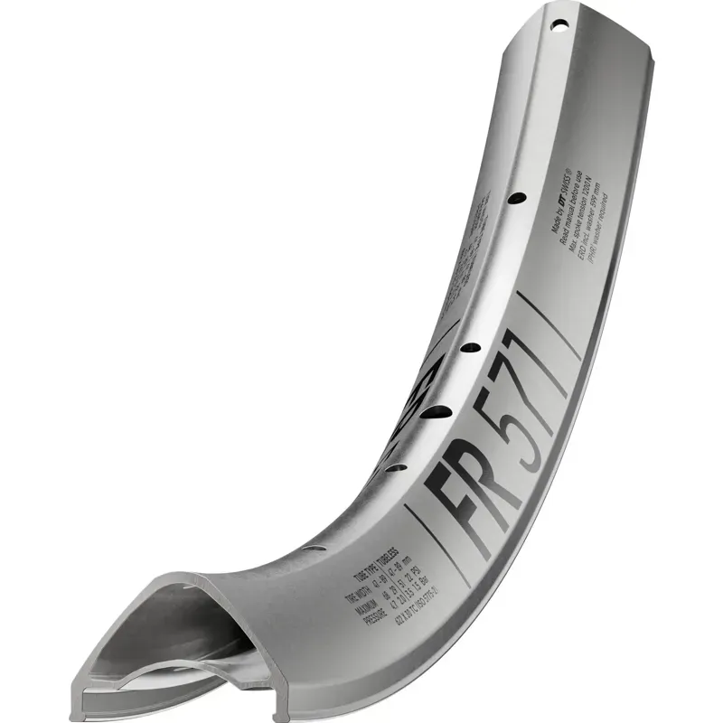 DT Swiss FR 571 Disc 32H Rims in Silver