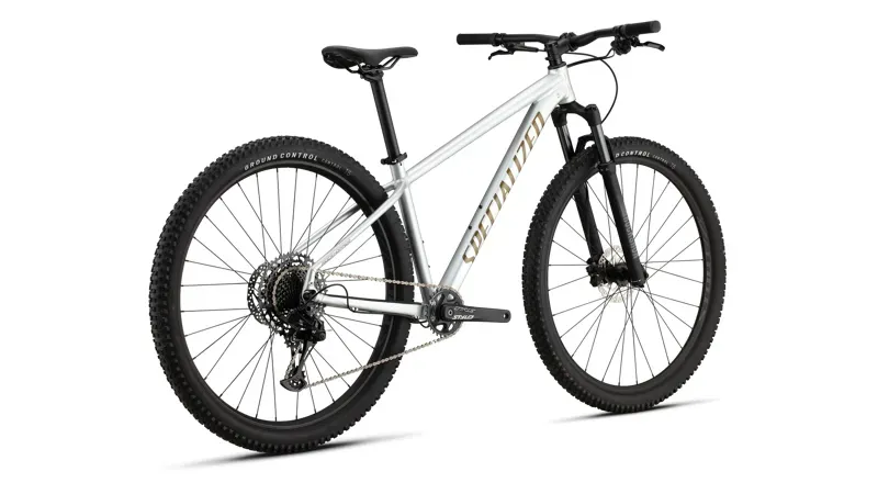 Specialized Rockhopper Expert Mountain Bike in Silver/Burnt Gold-3