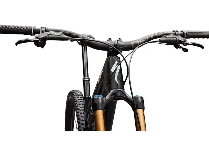 Specialized Stumpjumper 15 EVO Pro Mountain Bike in Carbon-4